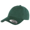Dad_Cap_0822_Spruce